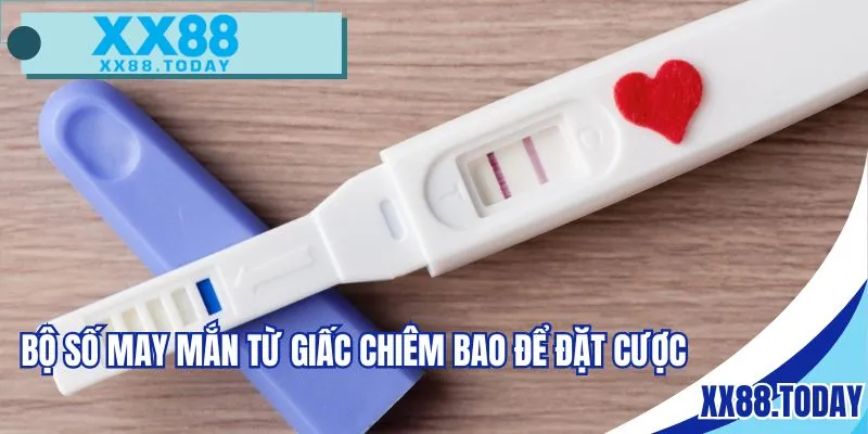 Bộ số may mắn từ giấc chiêm bao để đặt cược