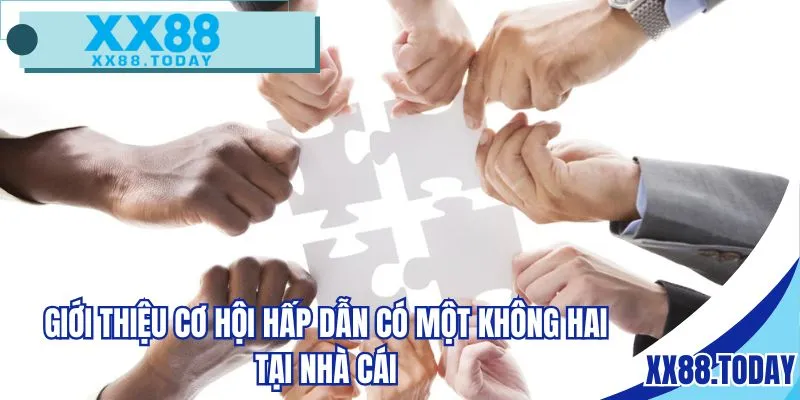 Giới thiệu cơ hội hấp dẫn có một không hai tại nhà cái