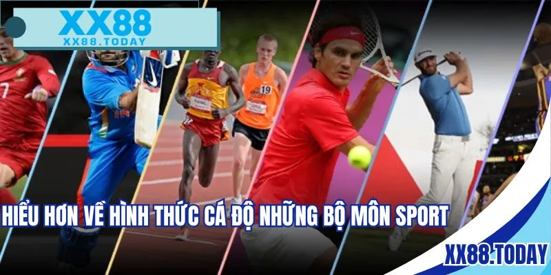 Hiểu hơn về hình thức cá độ những bộ môn Sport