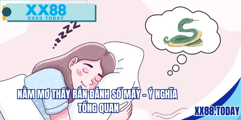 Nằm mơ thấy rắn đánh số mấy - Ý nghĩa tổng quan
